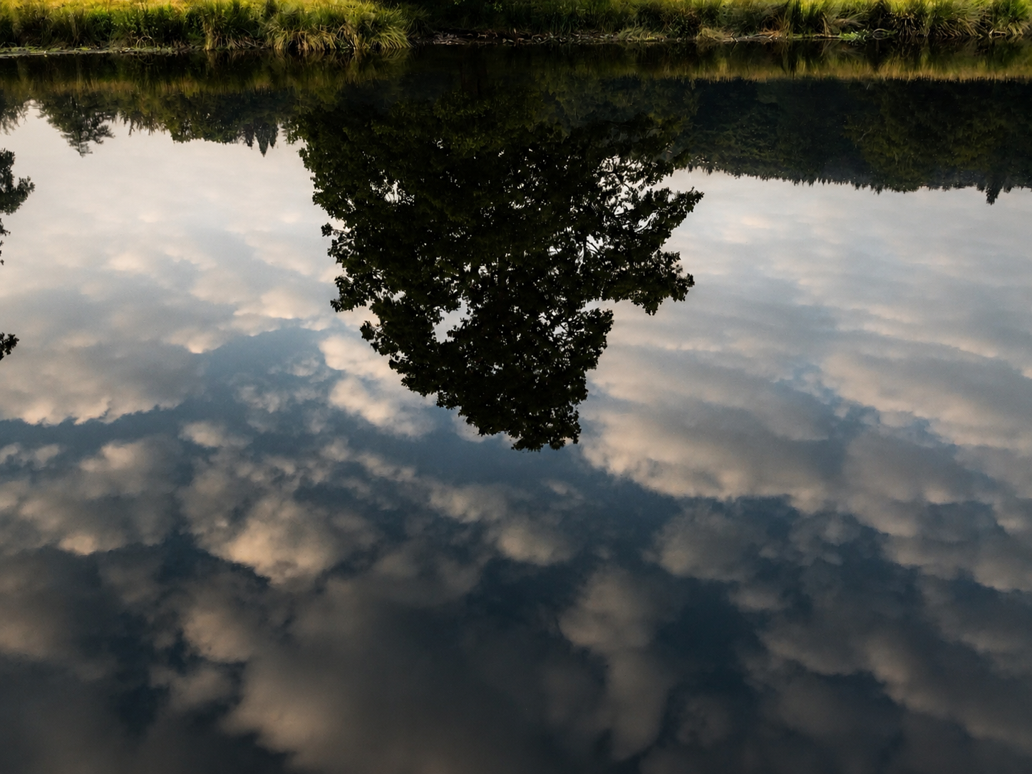 Inverted reflection of a tree and clouds