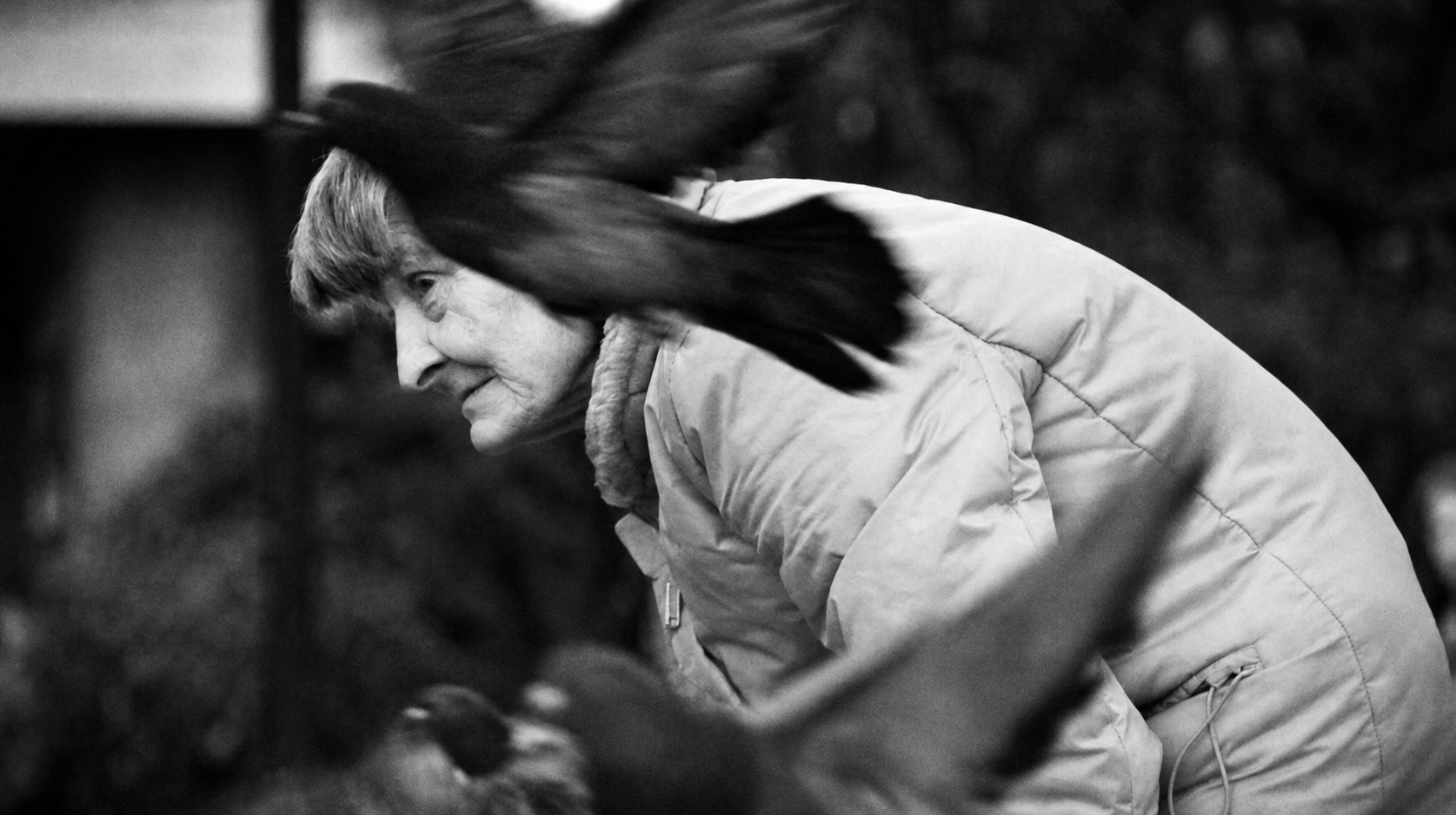 Woman among birds in motion