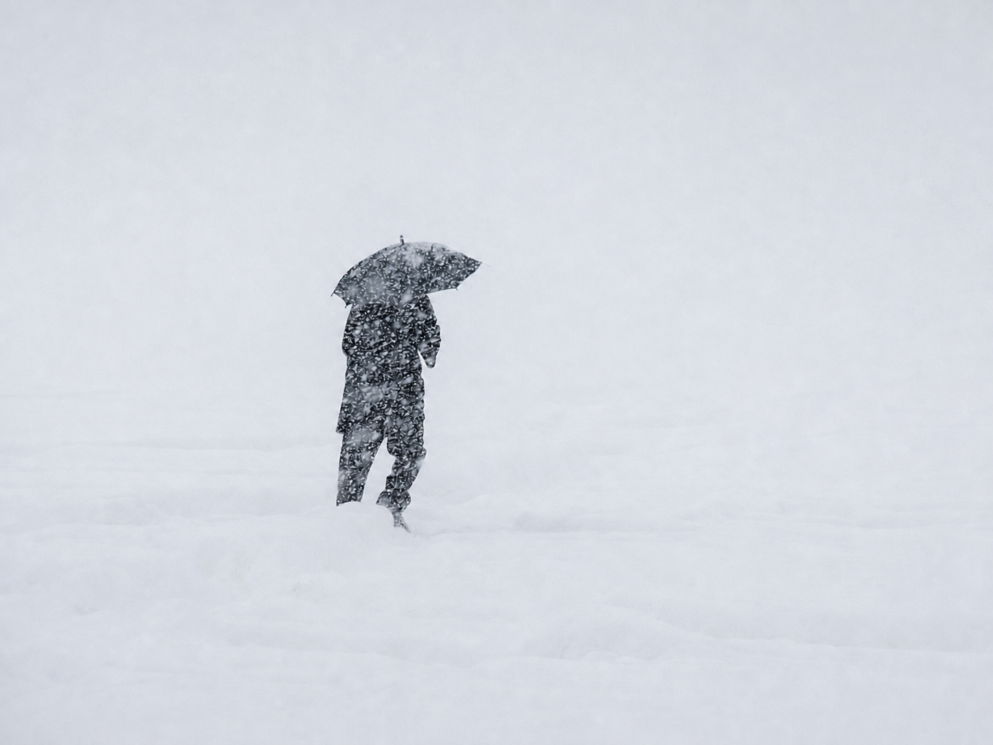 Solitary figure beneath an umbrella in snow