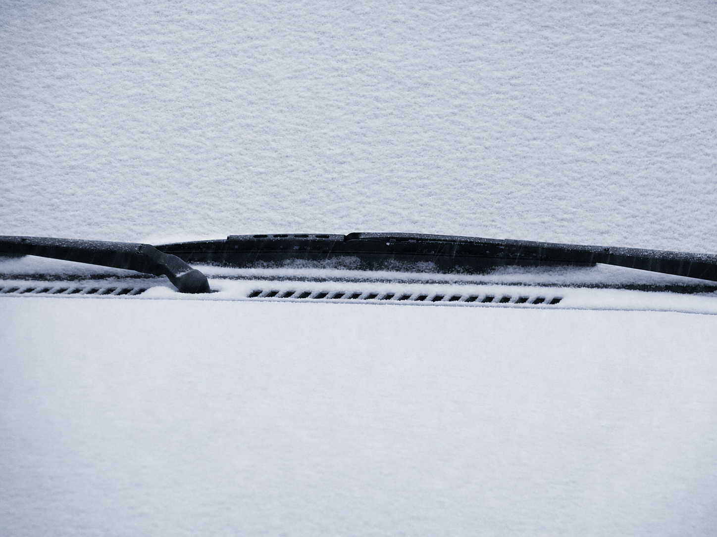 Windshield wipers dividing an expanse of snow